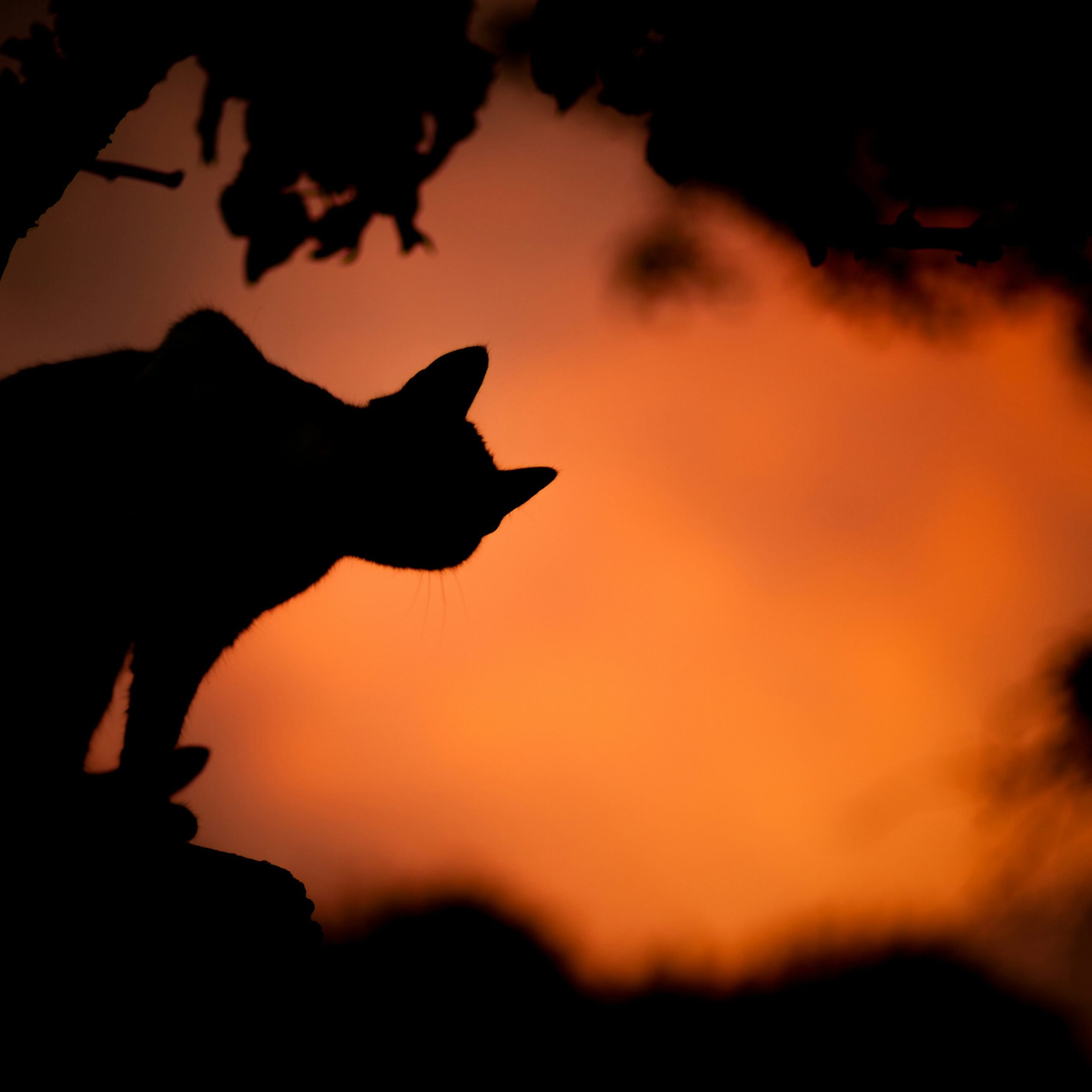 saso-tusar-yP19KADwhEI-unsplash